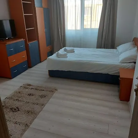 Apartament Andrei *
